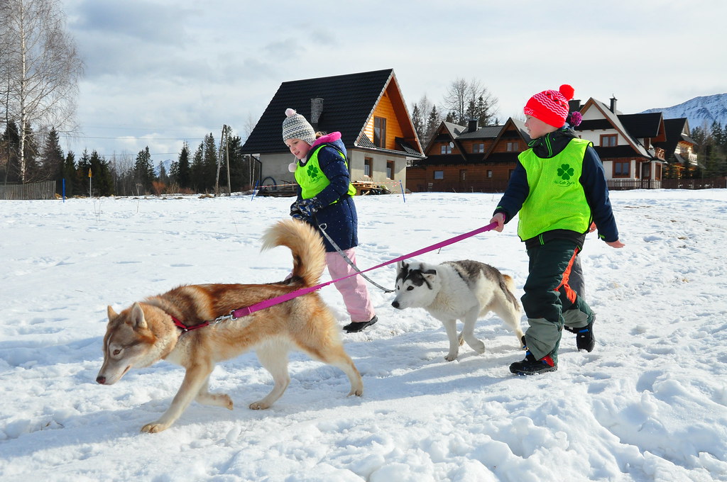 Obóz rekreacyjno sportowy w Zakopanem