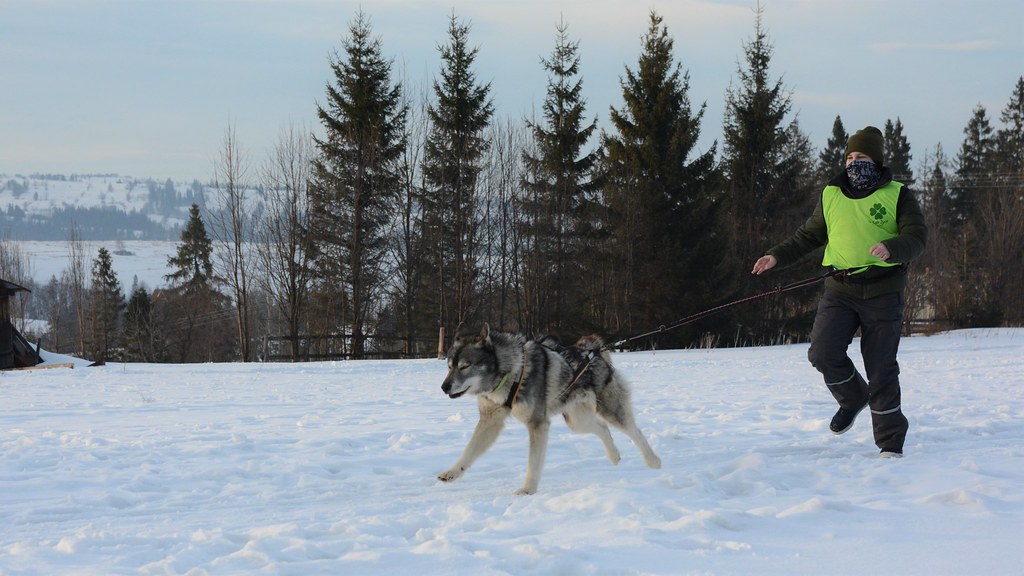 Obóz rekreacyjno sportowy w Zakopanem