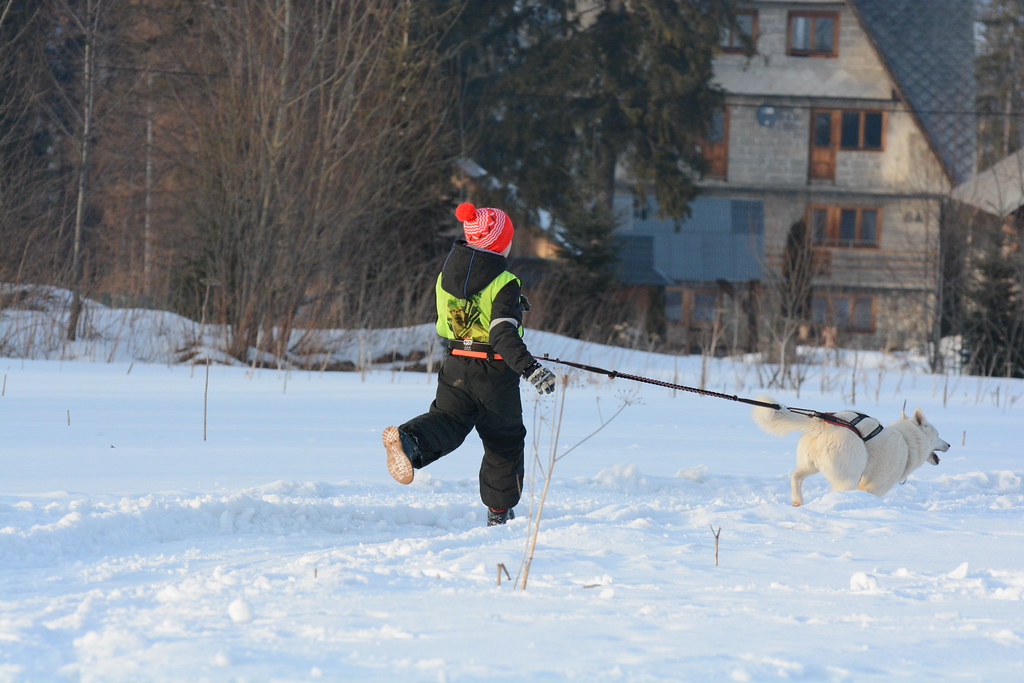 Obóz rekreacyjno sportowy w Zakopanem