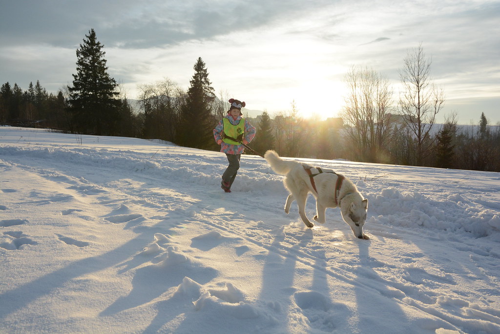 Obóz rekreacyjno sportowy w Zakopanem