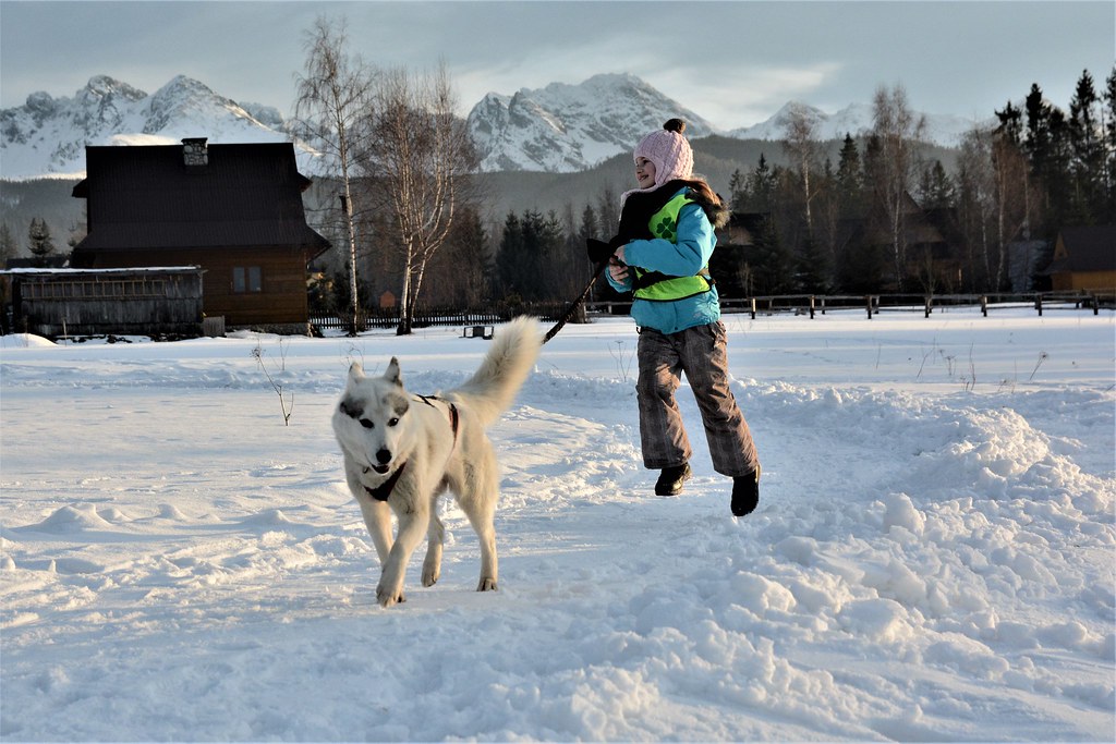 Obóz rekreacyjno sportowy w Zakopanem