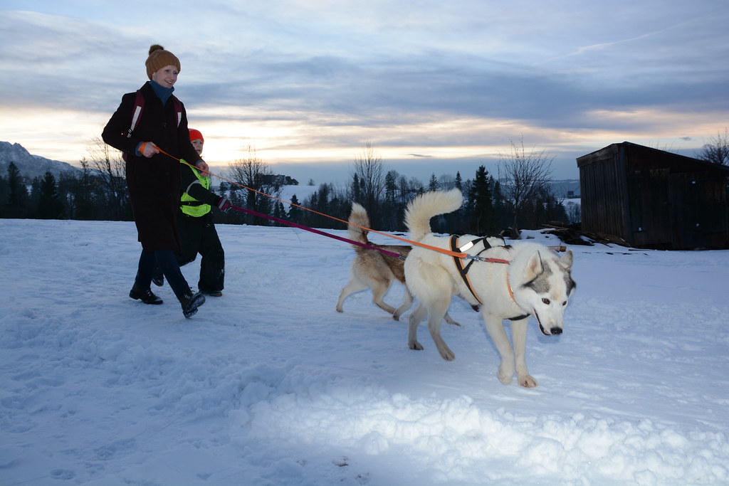 Obóz rekreacyjno sportowy w Zakopanem