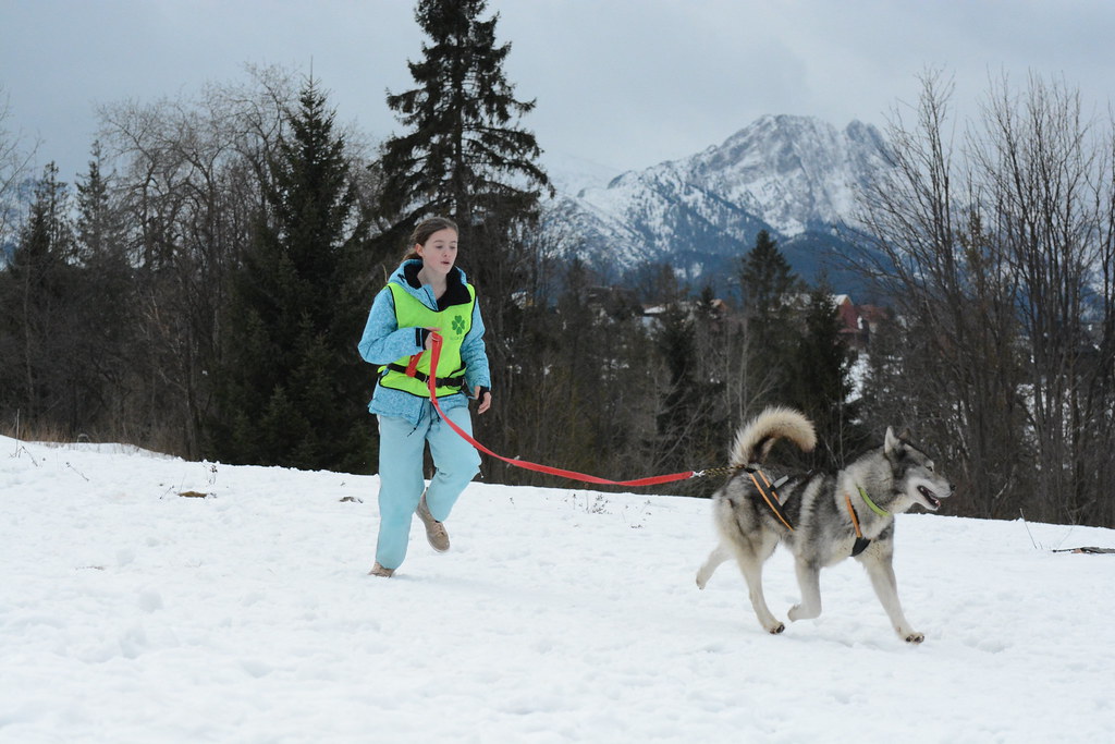 Obóz rekreacyjno sportowy w Zakopanem