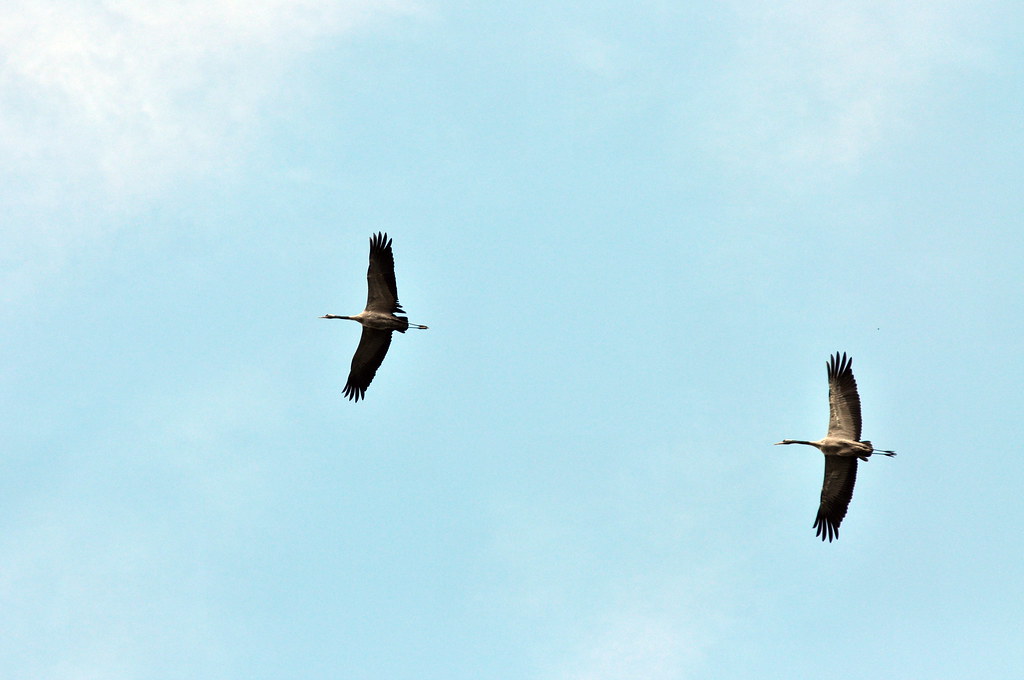 Obóz Rekreacyjno Sportowy w Sarnówku