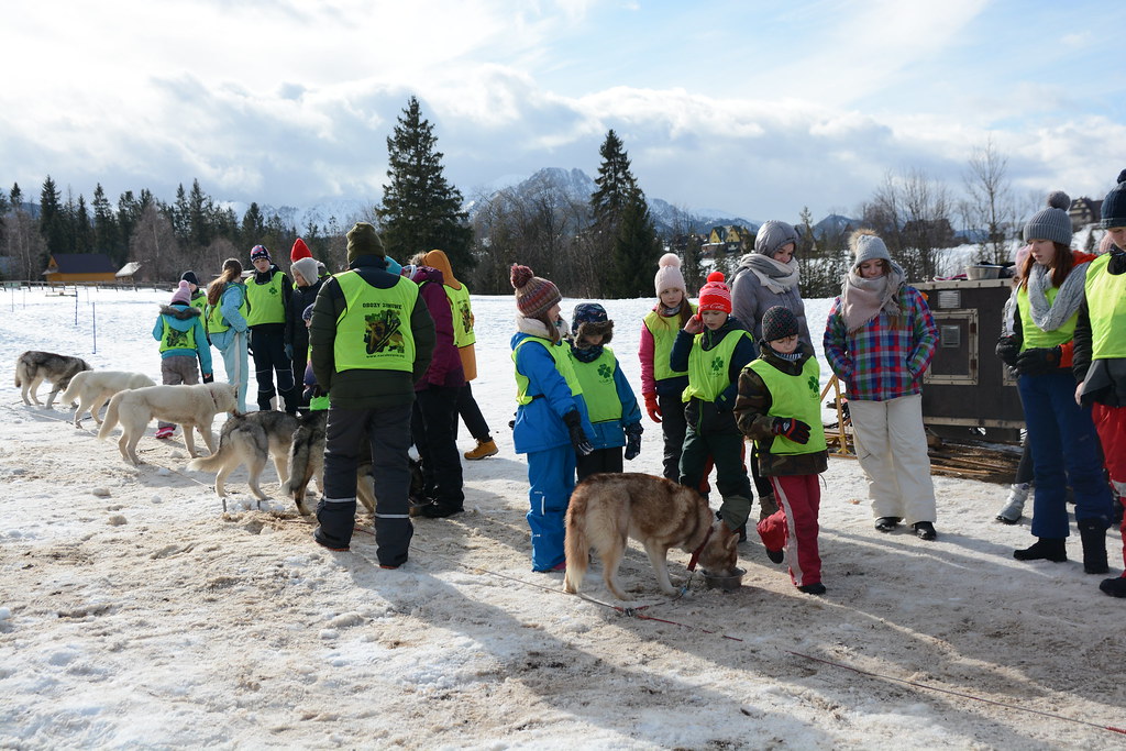 Obóz rekreacyjno sportowy w Zakopanem