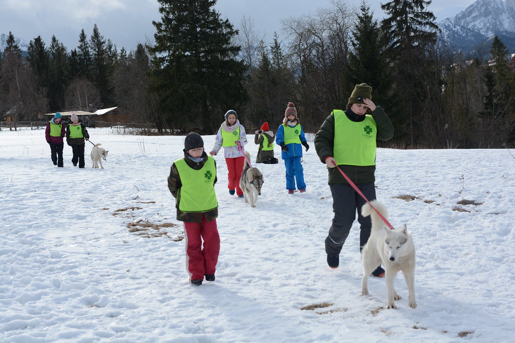 Obóz rekreacyjno sportowy w Zakopanem
