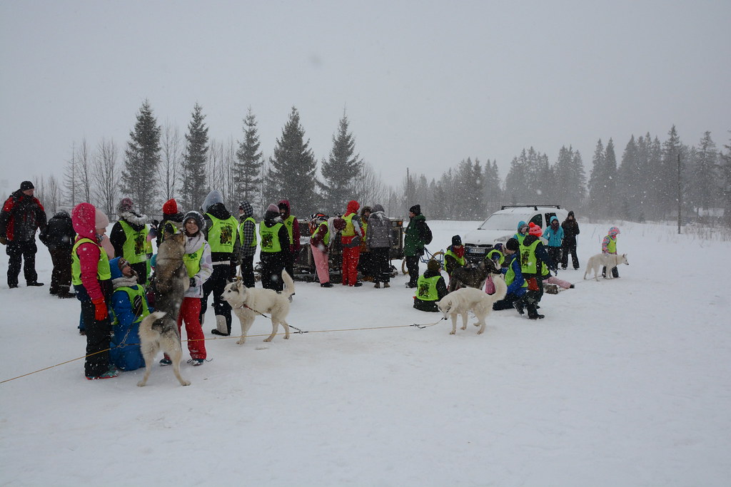 Obóz rekreacyjno sportowy w Zakopanem