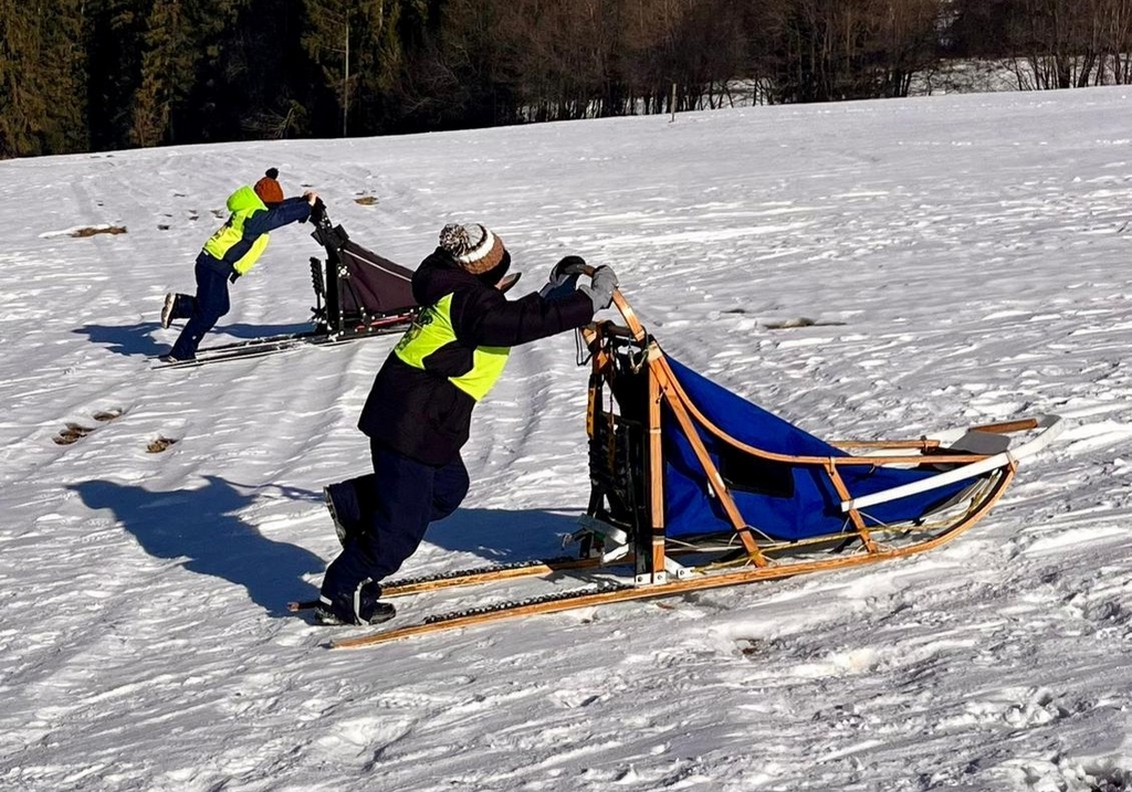 25.01 - 31.01. 2026 Obóz zimowy z psami zaprzęgowymi - Ząb