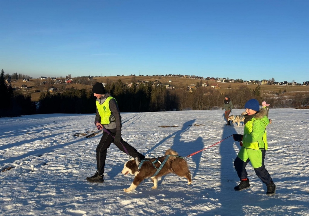 25.01 - 31.01. 2026 Obóz zimowy z psami zaprzęgowymi - Ząb