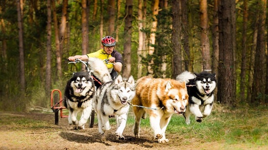 Klub Aktywnego Rodzica